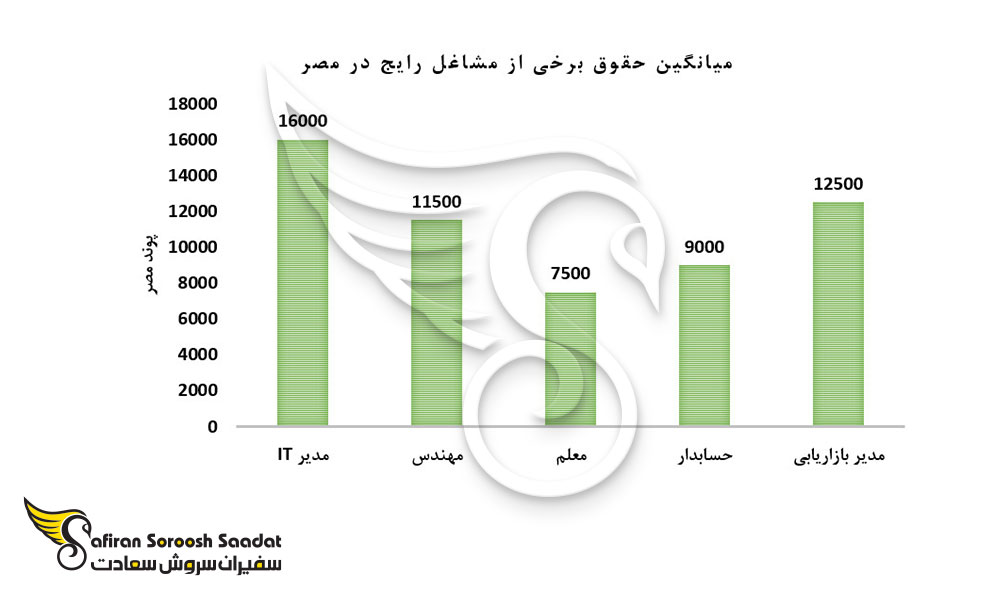 میانگین حقوق برخی از مشاغل رایج در مصر
