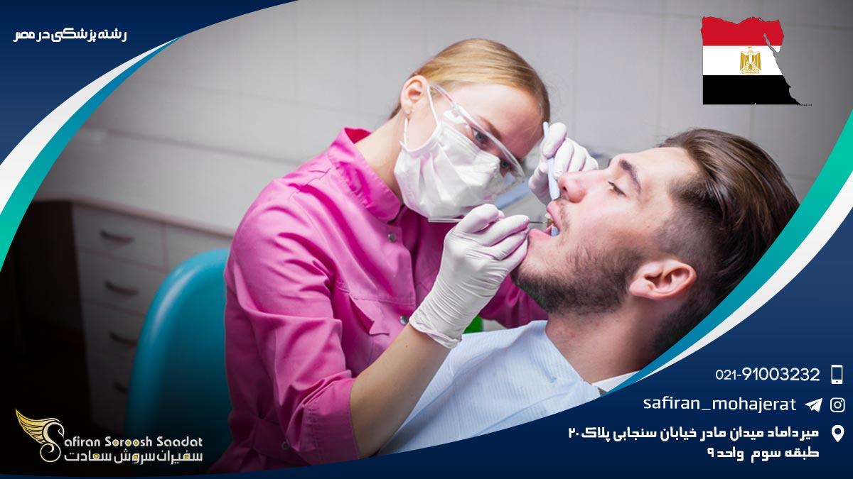 رشته دندانپزشکی در مصر