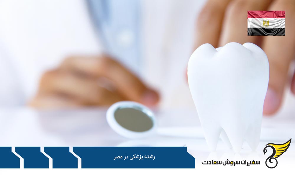 آموزش رشته دندانپزشکی در دانشگاه های مصر