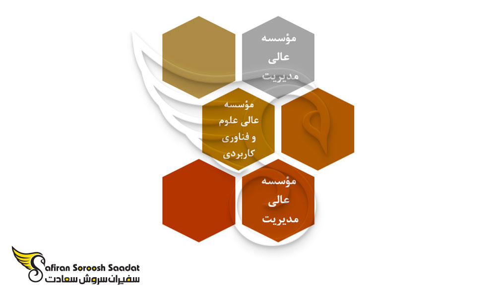 موسسات آموزش عالی در چاد
