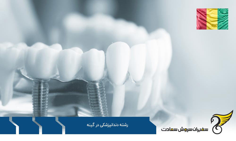اهمیت رشته دندانپزشکی در گینه