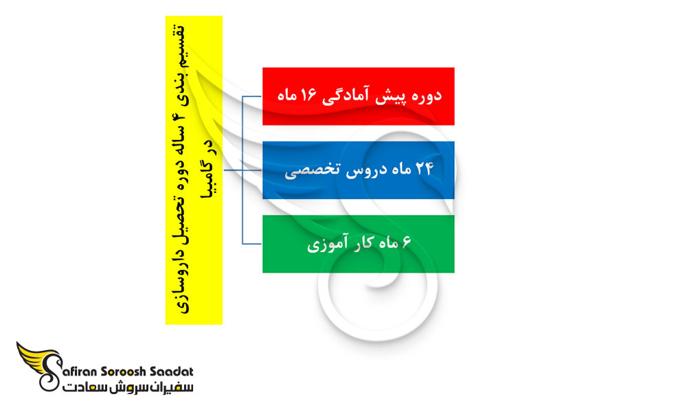 تقسیم بندی 4 ساله دوره تحصیل داروسازی در گامبیا