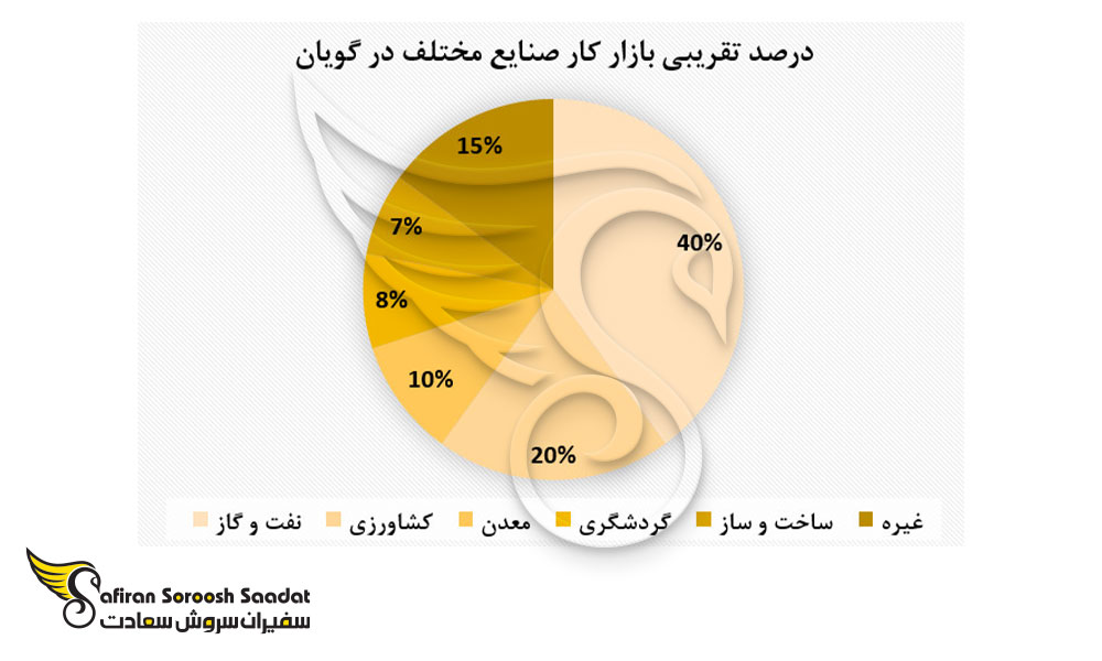 درصد تقریبی بازار کار صنایع مختلف در گویان