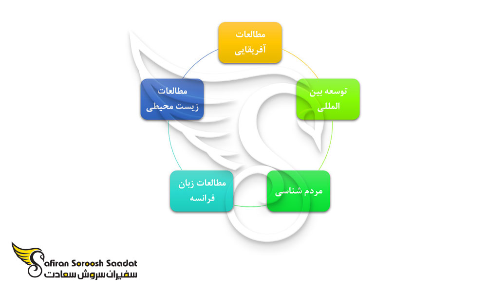 بهترین رشته های تحصیلی در گینه