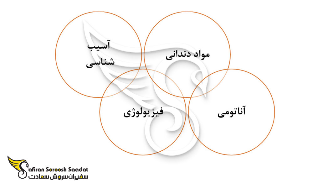 آنچه دانشجویان رشته دندانپزشکی در هندوراس می آموزند