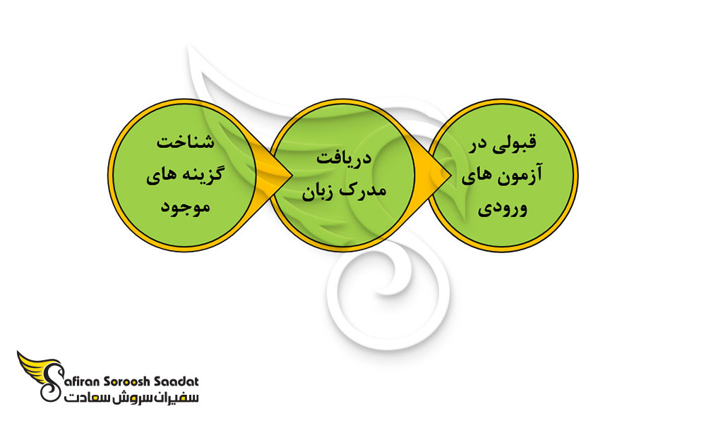 پروسه تحصیل رشته دندانپزشکی در بهترین کشورهای جهان