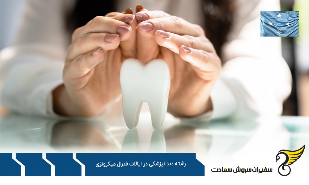 درآمد دندانپزشکان در ایالات فدرال میکرونزی