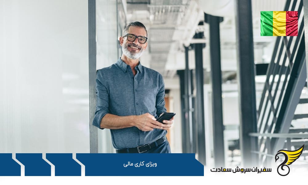 بررسی مدارک مورد نیاز برای دریافت ویزای کاری مالی