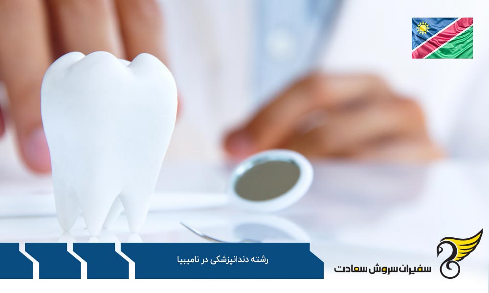 انتخاب یک جایگزین به جای نامیبیا