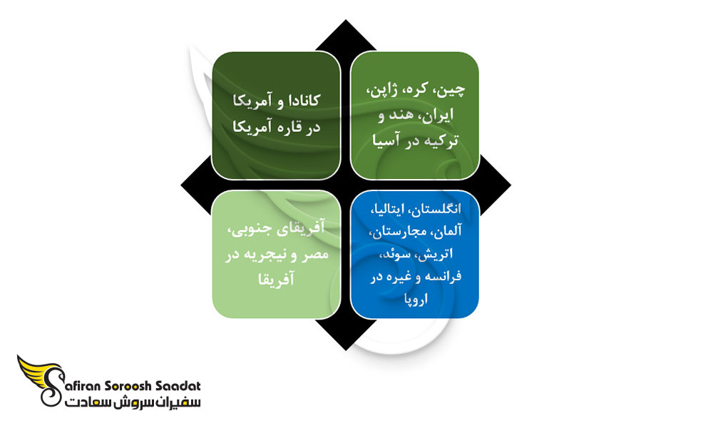 جایگزین های تحصیل دندانپزشکی در لسوتو
