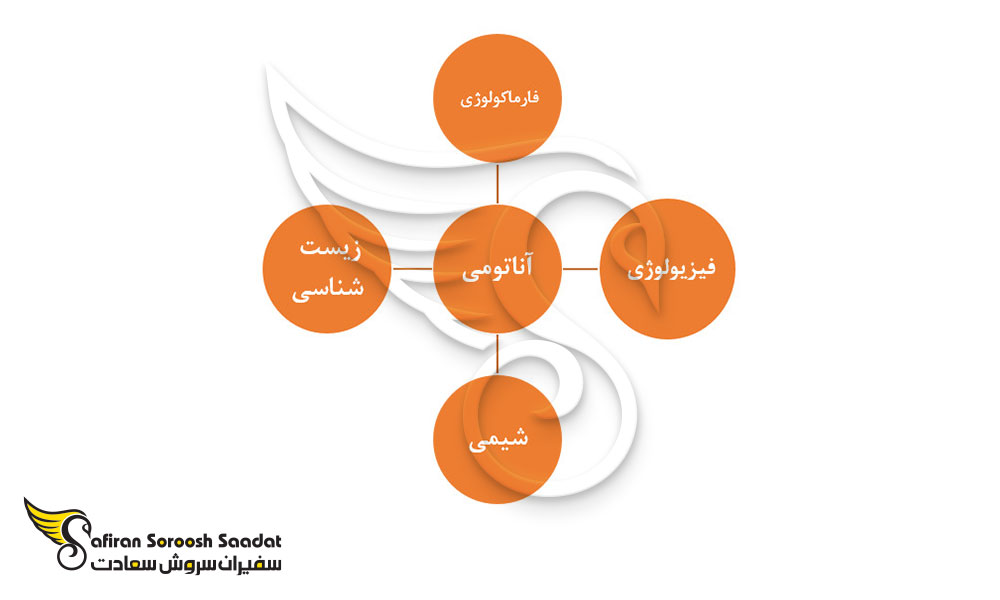 دوره تحصیل داروسازی در لیتوانی