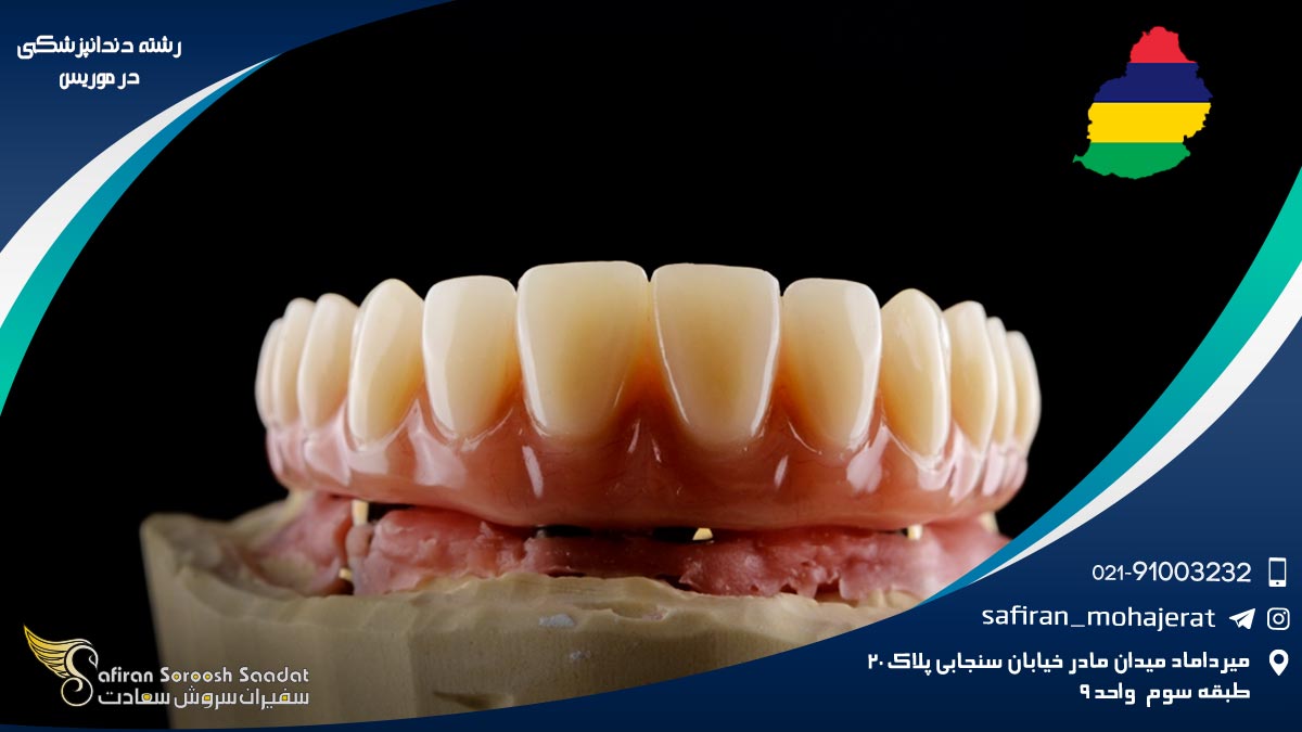 رشته دندانپزشکی در موریس