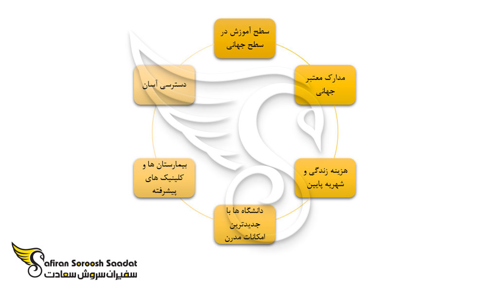 دلایل تحصیل رشته دندانپزشکی در بلغارستان