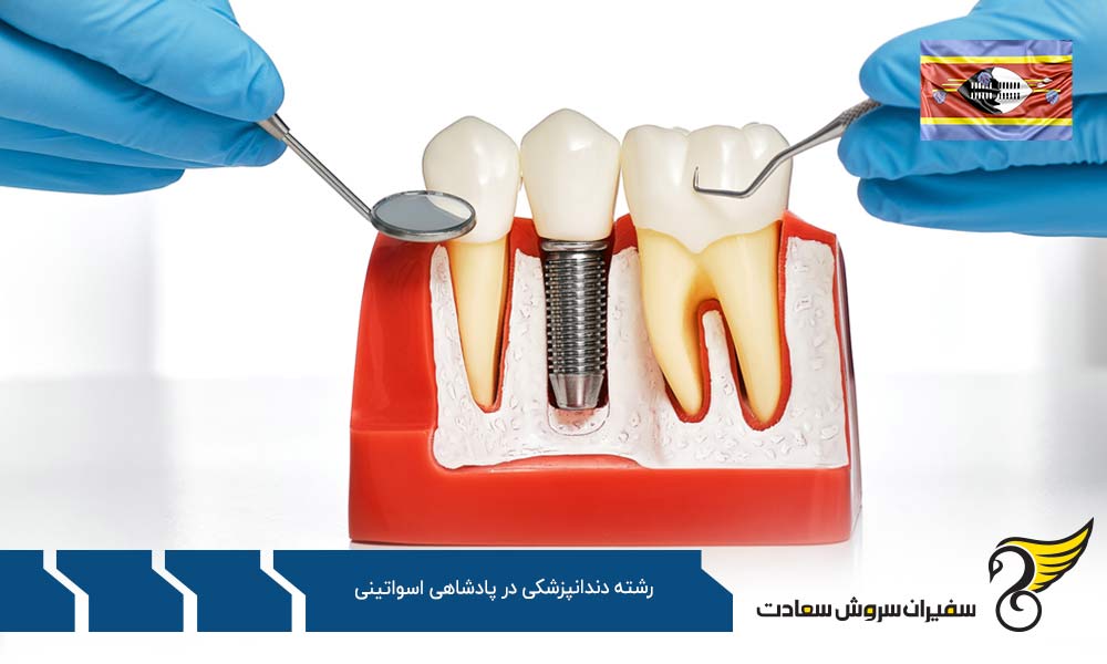 دندانپزشک شدن در ترکیه به جای پادشاهی اسواتینی
