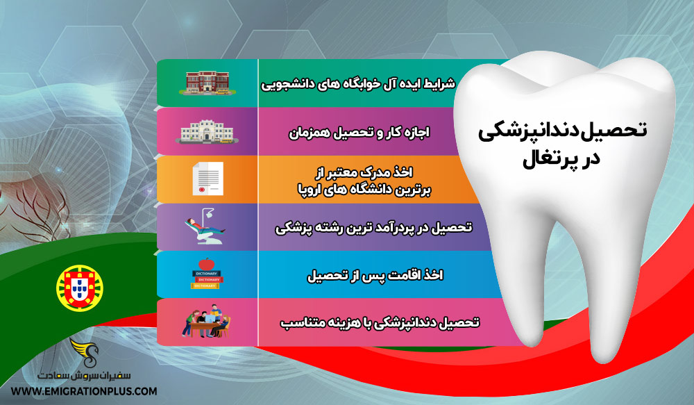 اینفوگرافیک رشته دندانپزشکی در پرتغال