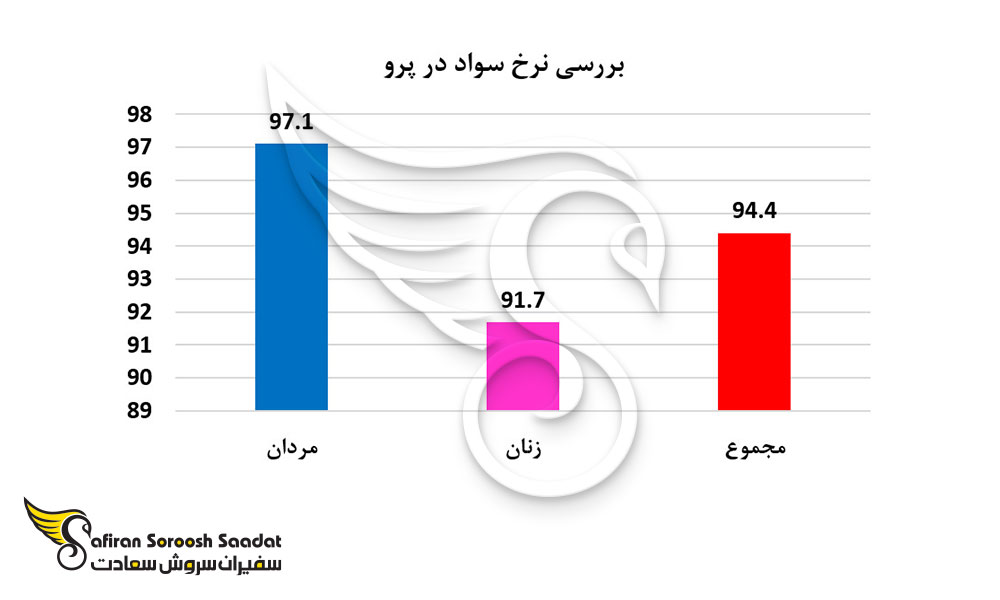 نرخ سواد در پرو