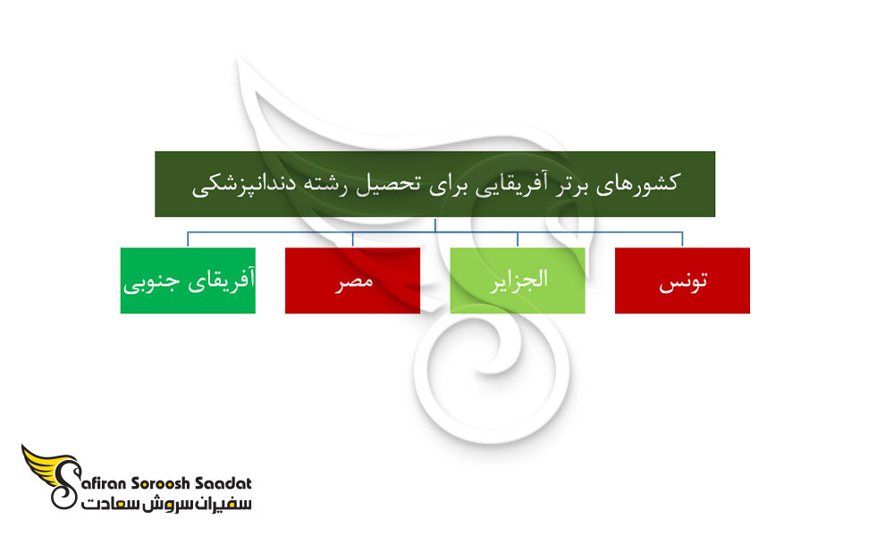 کشورهای برتر آفریقایی برای تحصیل رشته دندانپزشکی
