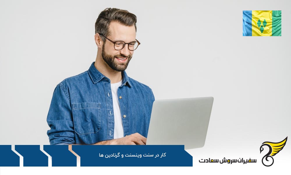 بررسی کمبودهای شغلی در سنت وینسنت و گرنادین ها