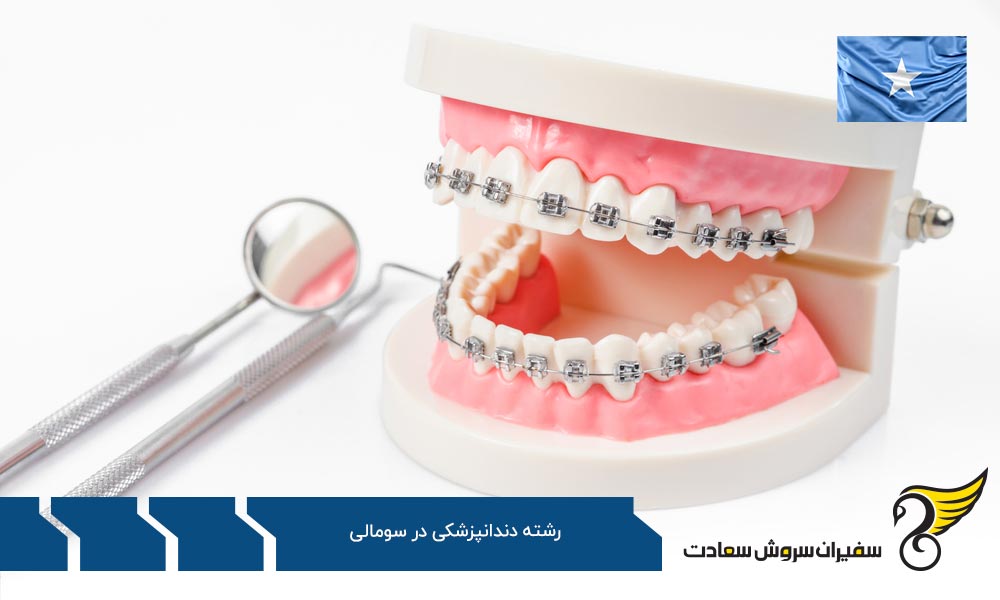 فرایند تحصیل دندانپزشکی در کشورهای اروپایی به جای سومالی