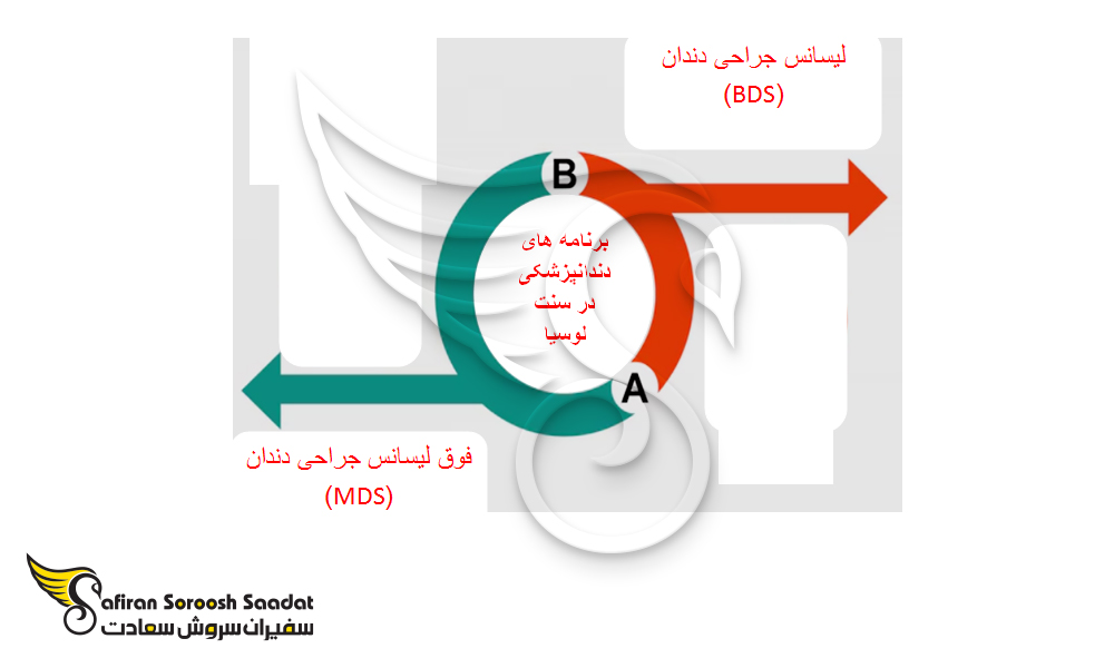 برنامه های تحصیل دندانپزشکی در سنت لوسیا