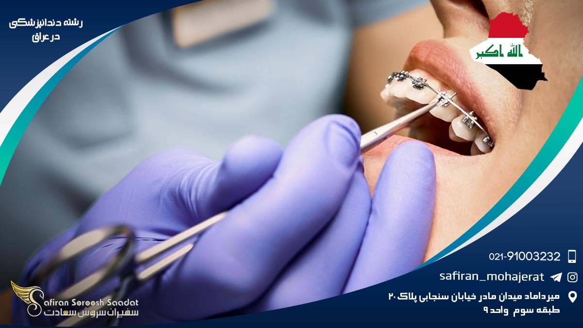 رشته دندانپزشکی در عراق
