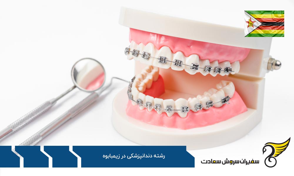 تحصیل ارزان تر از زیمبابوه در اروپا