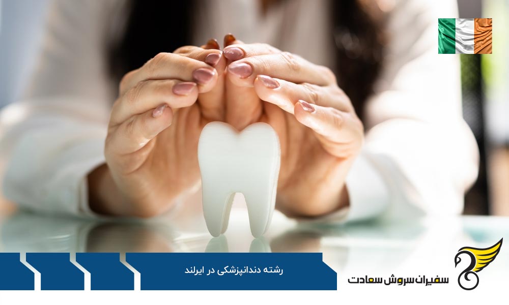 بررسی دانشگاه های برتر ایرلند برای دندانپزشکان