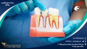 رشته دندانپزشکی در موناکو