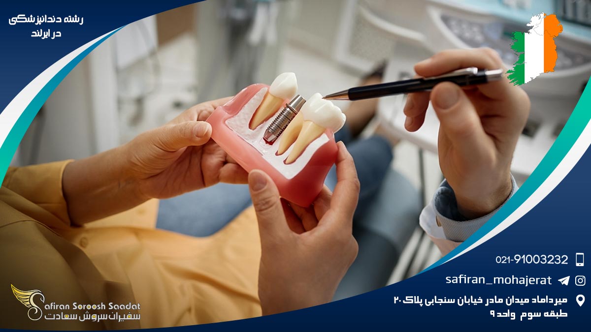 رشته دندانپزشکی در ایرلند