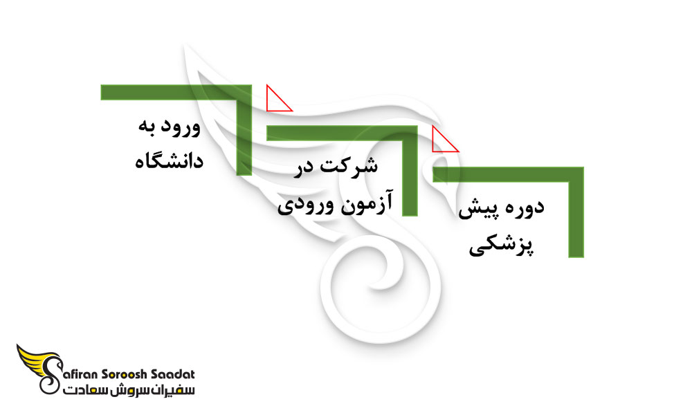 دوره پیش پزشکی در مجارستان