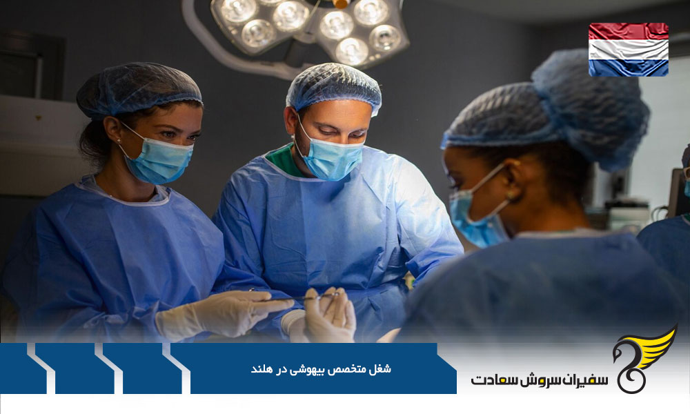 بررسی سطح درآمد یک متخصص هوشبری در هلند