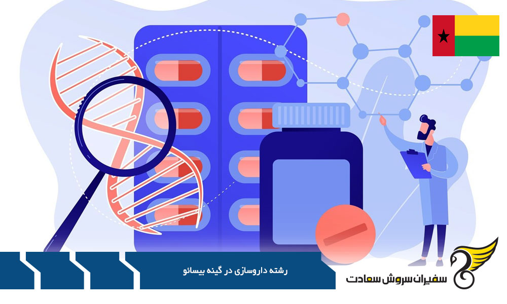 بررسی شرایط داروساز شدن در مجارستان به جای گینه بیسائو