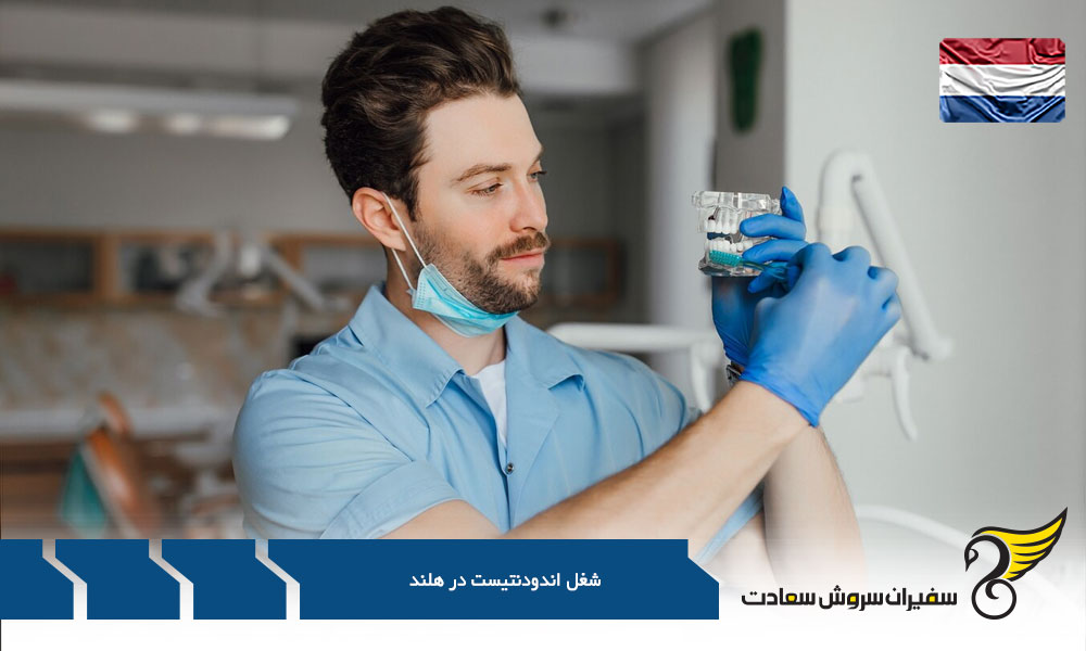 معادلسازی مدرک پزشکی در هلند برای اندودنتیست ها