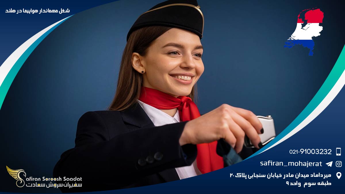 شغل مهماندار هواپیما در هلند