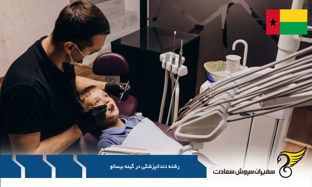کشورهای ارزان قیمت به جای گینه بیسائو