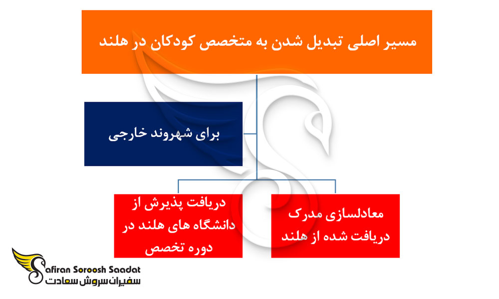 مسیر اصلی تبدیل شدن به متخصص کودکان در هلند