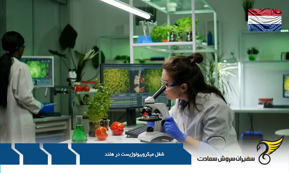 درآمد حاصل از شغل میکروبیولوژیست در هلند