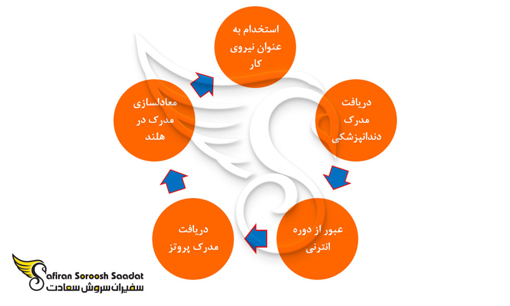 مسیر تبدیل شدن به یک متخصص پروتز دندان در هلند