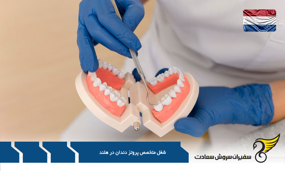 بررسی درآمد شغل متخصص پروتز دندان در هلند