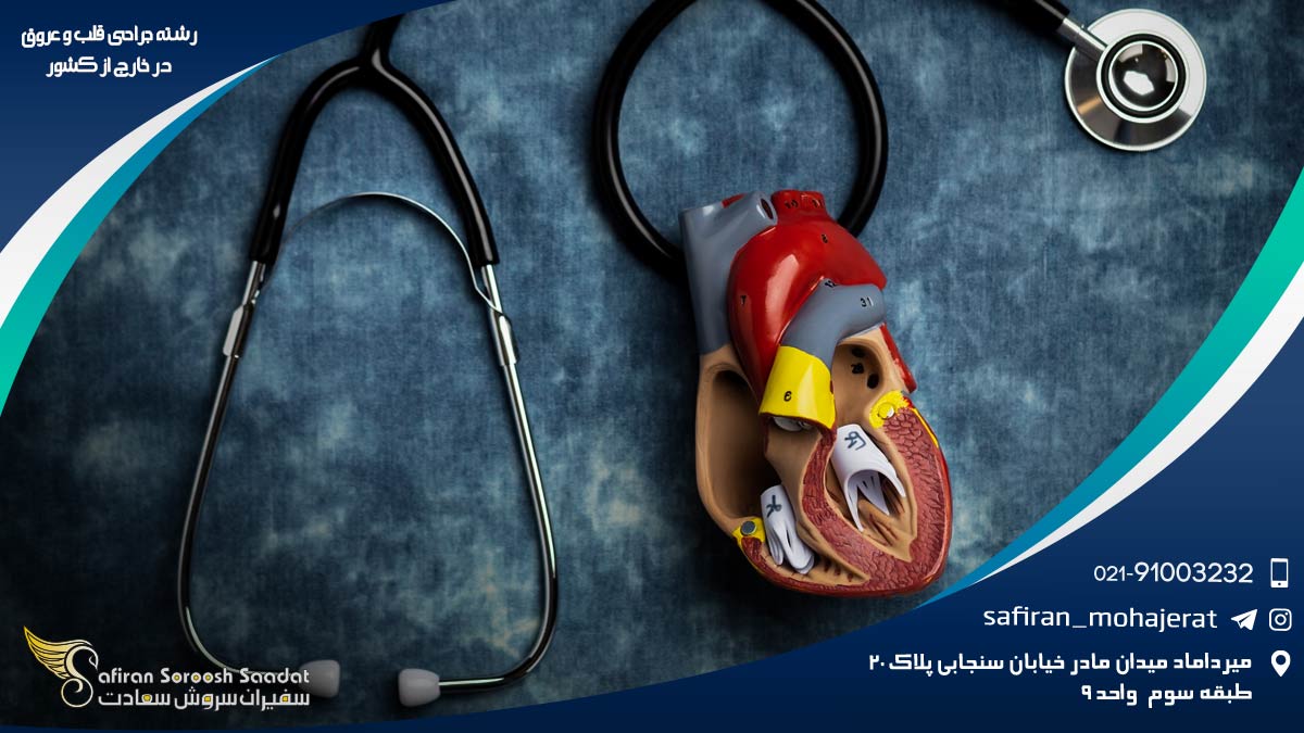 رشته قلب و عروق در خارج کشور
