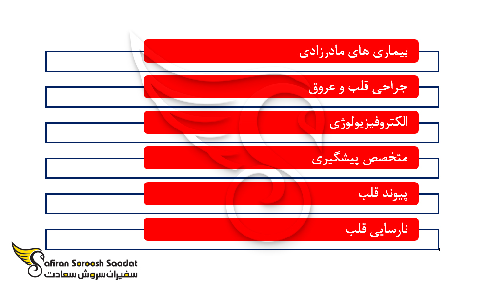 بهترین تخصص های قلب و عروق در خارج از کشور