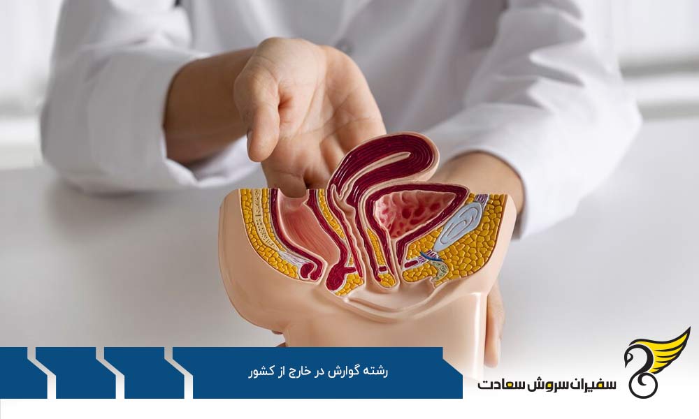 مراحل تبدیل شدن به یک متخصص گوارش در خارج از کشور