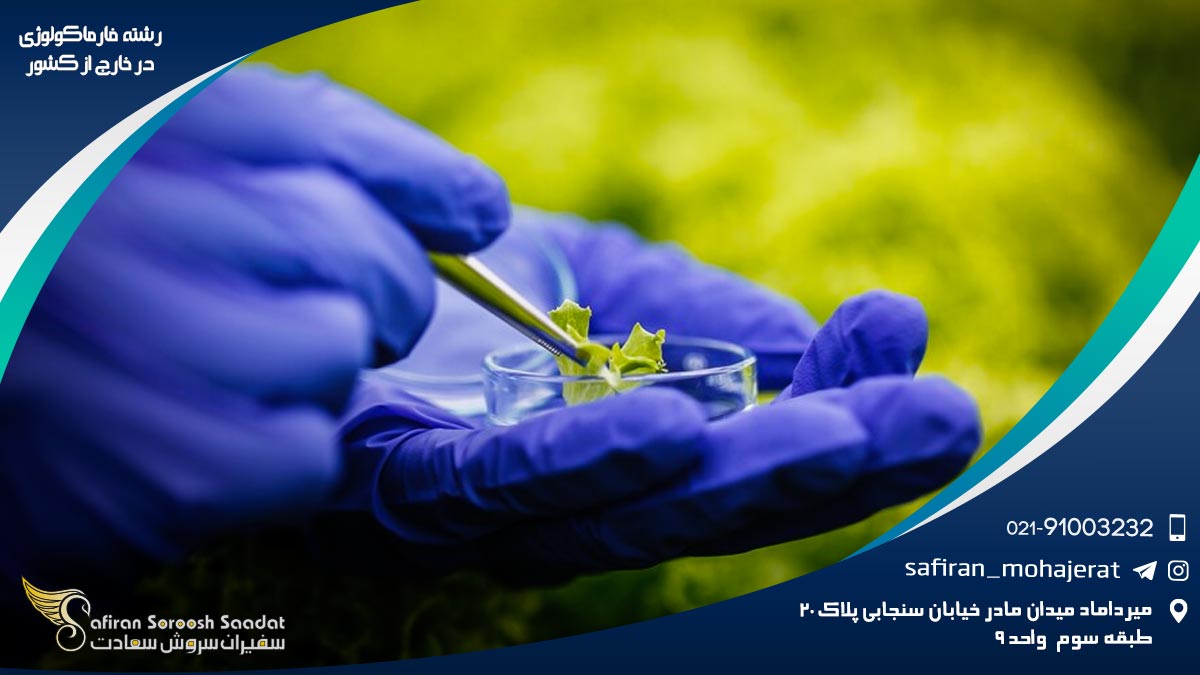 رشته فارماکولوژی در خارج از کشور