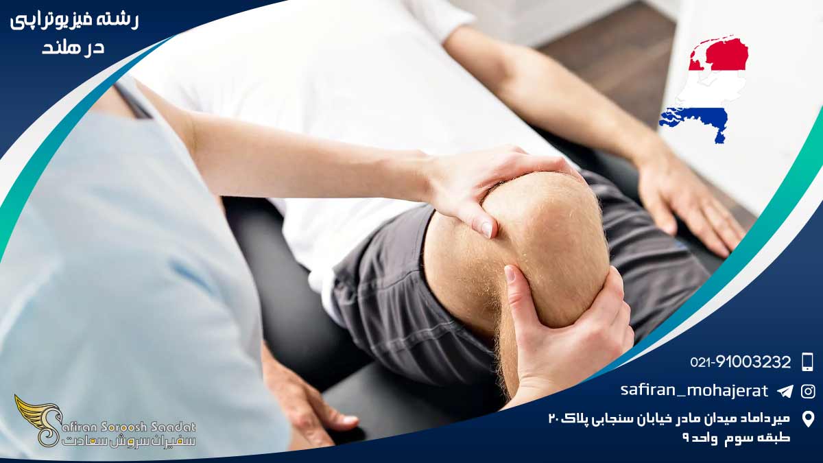 Physiotherapy-in-the-Netherlands1
