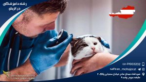 Veterinary-medicine-in-Austria1