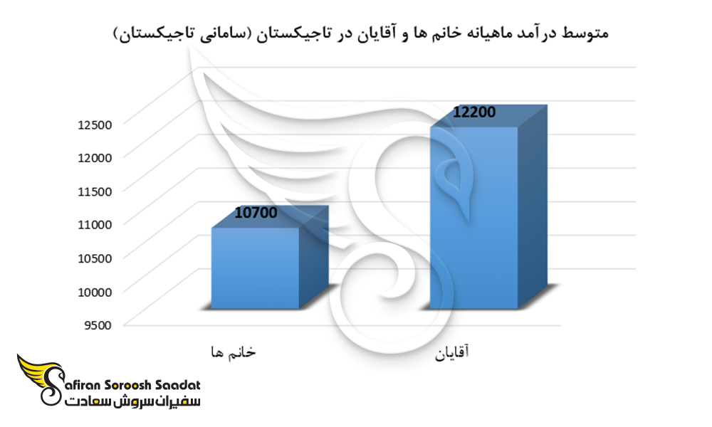 شرایط افراد پس از مهاجرت به تاجیکستان از طریق کار