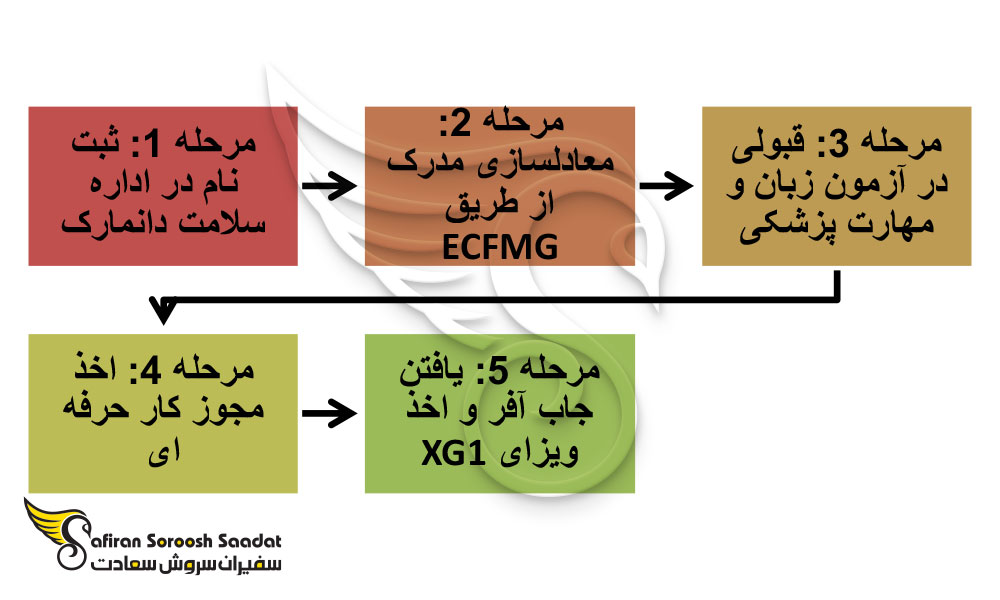 معادل سازی مدرک پزشکی گام اول اخذ ویزای XG1 دانمارک