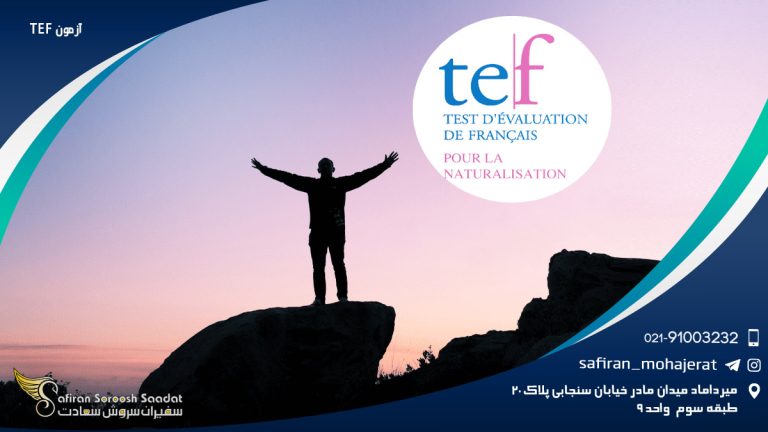 آزمون TEF