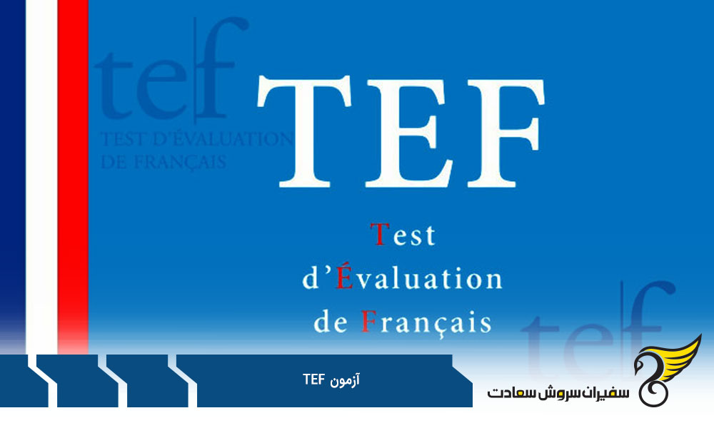 انواع آزمون TEF و بخش های مختلف این تست
