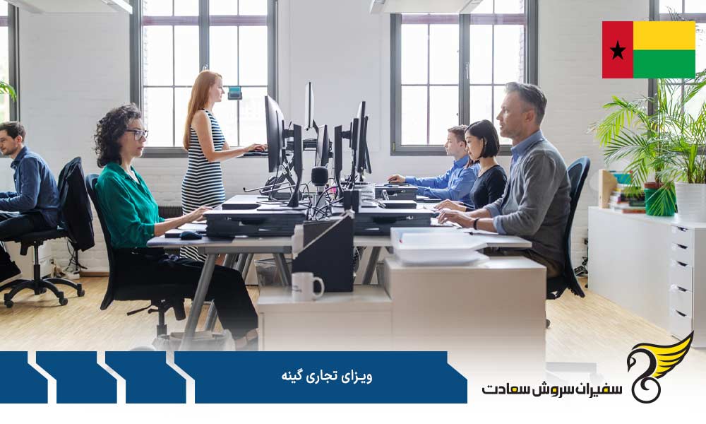 هزینه درخواست ویزای تجاری گینه